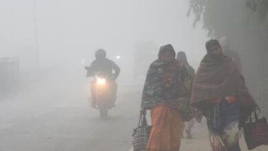 Photo of पटना समेत कई जिलों में सुबह हल्की ठंड और कोहरा