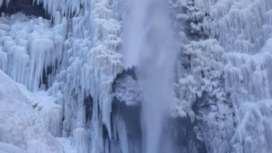 Photo of हिमाचल में सड़कों पर जमने लगा पानी, प्रदेश में 13 नवंबर तक मौसम साफ