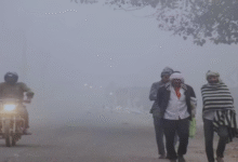 Photo of कानपुर समेत इन शहरों में शीतलहर का अलर्ट जारी