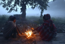 Photo of उत्तर प्रदेश में कोहरे और शीतलहर का कहर