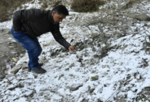Photo of हिमाचल में करवट बदल सकता है माैसम, बारिश-बर्फबारी के आसार
