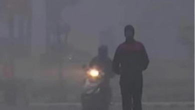 Photo of पंजाब में अब पड़ेगी कड़ाके की ठंड, मौसम विज्ञान ने जारी किया यैलो अलर्ट