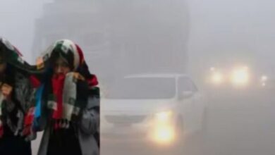 Photo of मध्य प्रदेश में ठंड ने फिर पकड़ी रफ्तार