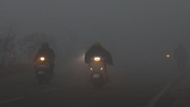 Photo of कोहरे की वजह से विजिबिलिटी जीरो, इस जिले का न्यूनतम तापमान 6℃ सेल्सियस किया गया दर्ज