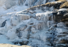 Photo of हिमाचल: 13 स्थानों पर न्यूनतम तापमान 5 डिग्री सेल्सियस से कम