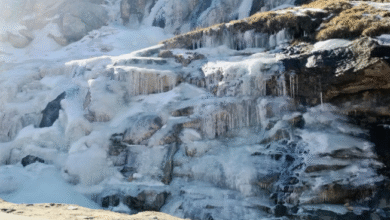 Photo of हिमाचल: 13 स्थानों पर न्यूनतम तापमान 5 डिग्री सेल्सियस से कम