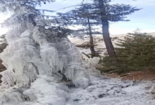 Photo of हिमाचल की ऊंची चोटियों पर बर्फबारी