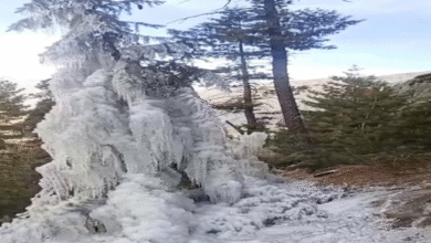 Photo of हिमाचल की ऊंची चोटियों पर बर्फबारी