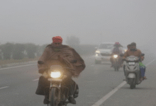 Photo of पंजाब में शीतलहर और कोहरे की दोहरी मार