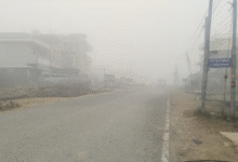 Photo of पंजाब में घने कोहरे का अलर्ट: तापमान में भी आएगी गिरावट