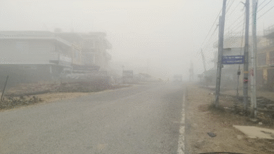 Photo of पंजाब में घने कोहरे का अलर्ट: तापमान में भी आएगी गिरावट
