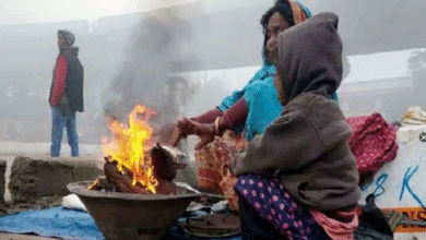 Photo of उत्तराखंड: पहाड़ों में पाला, मैदानी क्षेत्रों में कोहरे के आसार