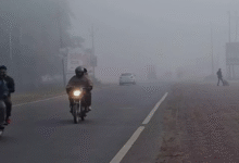 Photo of पंजाब में ठंड से राहत, सुबह-शाम हल्की होगी धुंध