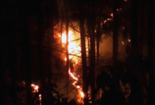 Photo of उत्तराखंड हाईकोर्ट ने जंगल की आग पर विशेषज्ञों से मांगा मार्गदर्शन