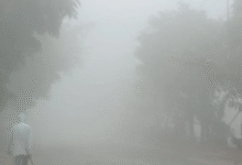 Photo of यूपी मे सर्दी और कोहरे को लेकर अलर्ट जारी