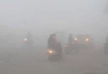 Photo of घने कोहरे की चपेट में पंजाब: दृश्यता 200 मीटर तक, न्यूनतम तापमान में गिरावट