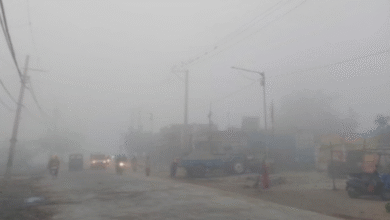 Photo of पंजाब में घने कोहरे की मार: अमृतसर में दृश्यता शून्य, 20 दिसंबर से बारिश का अलर्ट