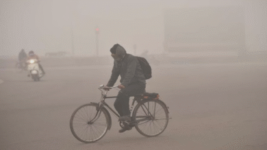 Photo of लखनऊ: पांच डिग्री तापमान के साथ कानपुर रहा सबसे ठंडा