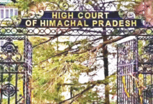 Photo of कूनो नेशनल पार्क में सीएम मोहन यादव द्वारा जंगल में छोड़े गए चीता