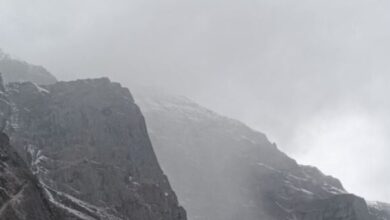 Photo of बारिश-बर्फबारी की बेरुखी का असर, छह जिलों में घने कोहरे की चेतावनी