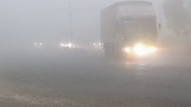 Photo of पंजाब में घना कोहरा: बरसात के बावजूद नहीं मिल रही राहत, दृश्यता शून्य