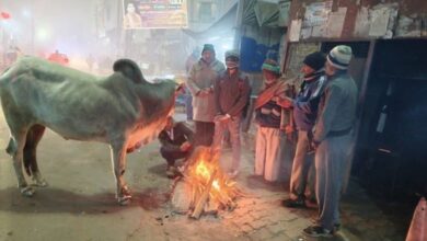 Photo of हरियाणा में आज से चलेंगी बर्फीली हवाएं: 31 जनवरी को होगा पश्चिमी विक्षोभ सक्रिय