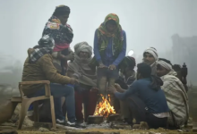 Photo of भीषण ठंड में ठिठुरा उत्तर भारत, पंजाब में पारा गिरकर 1.1 डिग्री