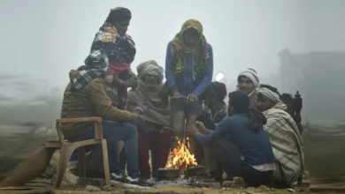 Photo of भीषण ठंड में ठिठुरा उत्तर भारत, पंजाब में पारा गिरकर 1.1 डिग्री
