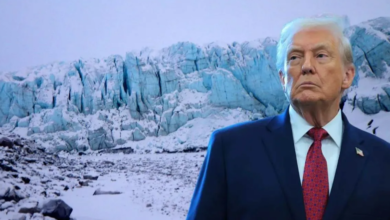 Photo of डेनमार्क के साथ बढ़ते विवाद के बीच ग्रीनलैंड को लेकर क्या बोल गए ट्रंप?