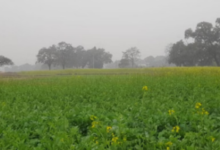 Photo of हरियाणा में कमजोर पश्चिमी विक्षोभ सक्रिय: 18 तक आंशिक रूप से बादल छाए रहेंगे