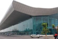 Photo of अमृतसर एयरपोर्ट पर वन्यजीव तस्करी का मामला उजागर