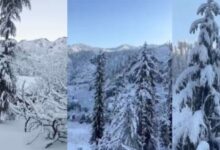 Photo of पहाड़ों पर हिमस्खलन, मैदान में बारिश-ओलावृष्टि से गिरा पारा; सर्द हवाओं से दिल्ली में ठिठुरन