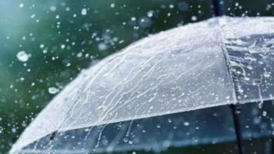 Photo of हरियाणा में खत्म नहीं हुआ पश्चिमी विक्षोभ का असर, फिर होगी बारिश