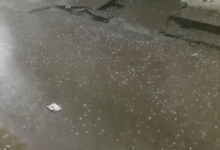 Photo of पंजाब में बारिश: लगातार दो पश्चिमी विक्षोभ से मौसम बदला, पटियाला में गिरे ओले