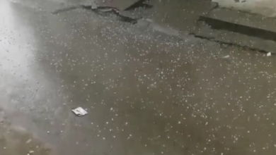 Photo of पंजाब में बारिश: लगातार दो पश्चिमी विक्षोभ से मौसम बदला, पटियाला में गिरे ओले