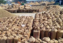 Photo of हरदोई धान खरीद घोटाला: फर्जी सत्यापन कर 450 किसानों से खरीदा 2500 क्विंटल धान