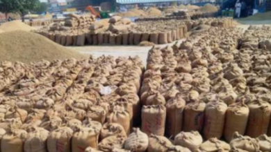 Photo of हरदोई धान खरीद घोटाला: फर्जी सत्यापन कर 450 किसानों से खरीदा 2500 क्विंटल धान