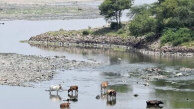 Photo of मैली यमुना वाली दिल्ली के लिए अभी क्रूज की सवारी दूर