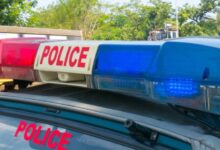 Photo of हरियाणा: गो तस्करों और पुलिस के बीच चली गोलियां, कई किमी. तक पीछा किया