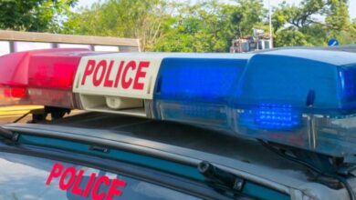 Photo of हरियाणा: गो तस्करों और पुलिस के बीच चली गोलियां, कई किमी. तक पीछा किया