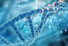 Photo of आप कितना लंबा जिएंगे? जवाब आपकी लाइफस्टाइल में नहीं, आपके DNA में छिपा है