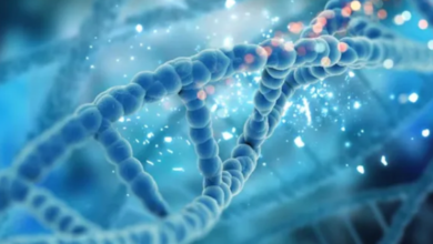 Photo of आप कितना लंबा जिएंगे? जवाब आपकी लाइफस्टाइल में नहीं, आपके DNA में छिपा है