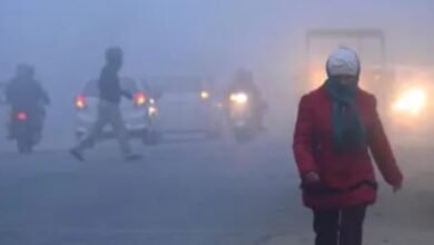 Photo of हरियाणा में शीतलहर के साथ सताएगी ठंड, बारिश और कोहरे की संभावना