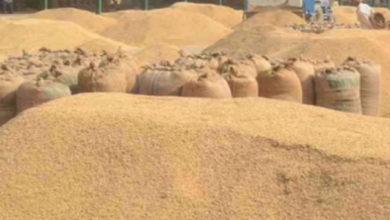 Photo of धान खरीदी केंद्र में 38 लाख का घोटाला, सात पर केस दर्ज