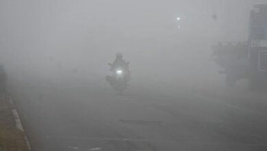Photo of मध्य प्रदेश में मौसम का यू-टर्न, 20 जिलों में कोहरा…