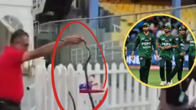 Photo of IND vs PAK: कोलंबो में महामुकाबले से पहले पाकिस्तान के डगआउट में निकला सांप