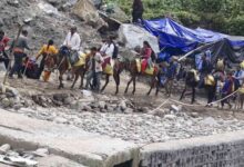 Photo of केदारनाथ यात्रा से पहले घोड़ा-खच्चरों का पंजीकरण शुरू