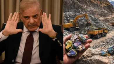 Photo of गिलगित-बाल्टिस्तान के रेयर अर्थ मिनरल्स का पाकिस्तान कर रहा दोहन